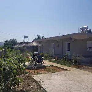 Rey Garden Pensjonat